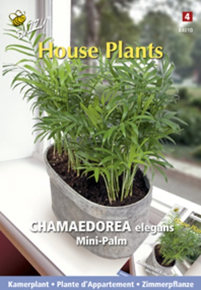 Chamaedorea elegans (Parlor palm) 15 seeds